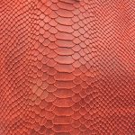 PARTENOPE - immagine 41